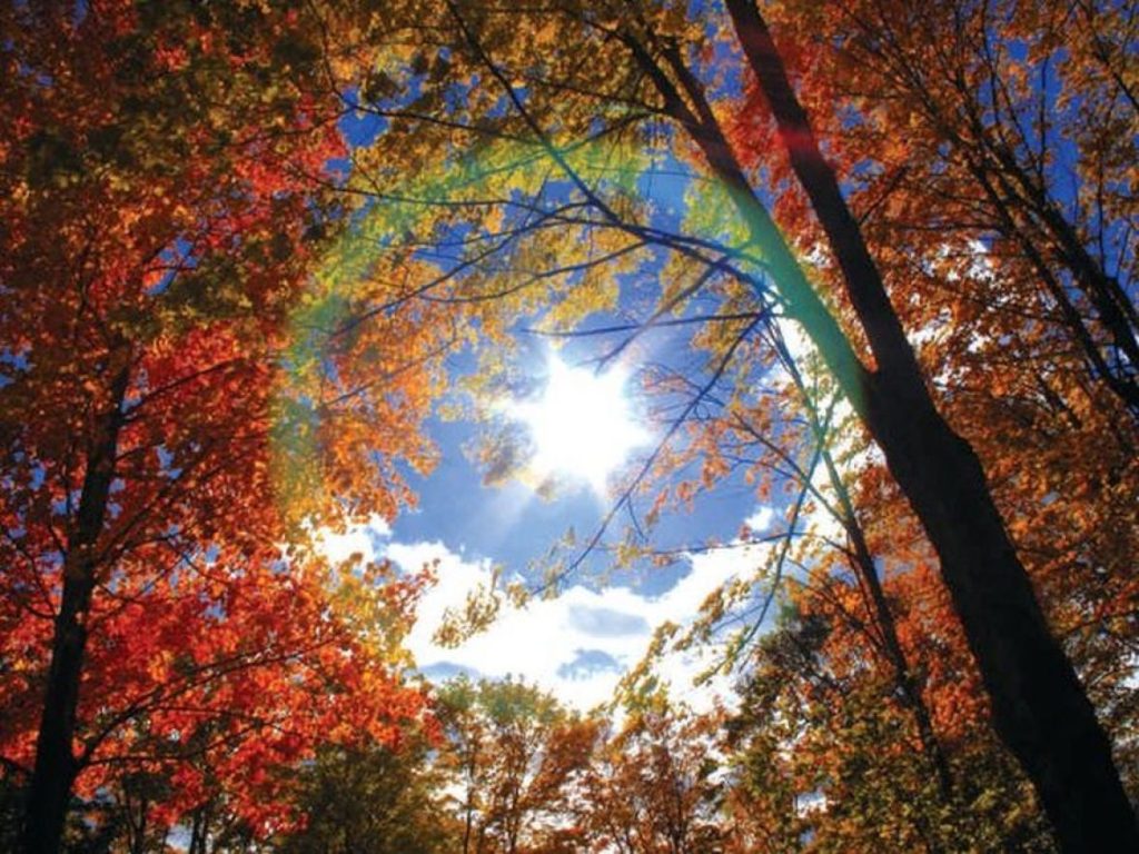 JAVIO NAM SE METEOROLOG KRAJINOVIĆ, PRIPREMITE JAKNE: SUTRA UŽIVAJTE, ONDA NAM STIŽE I SNIJEG!